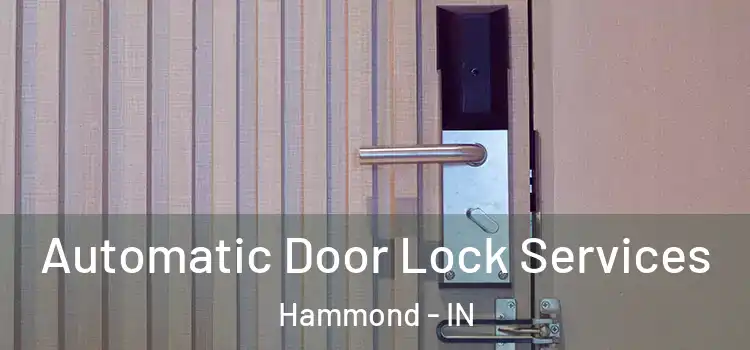 Automatic Door Lock Services Hammond - IN