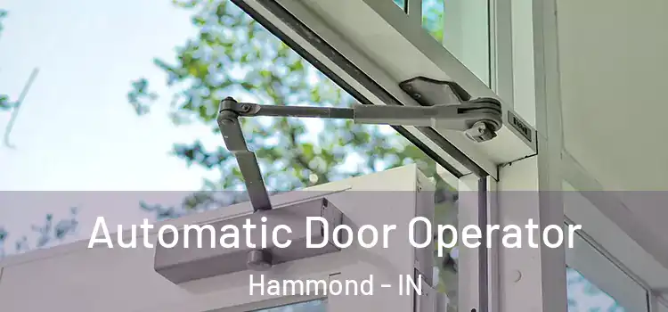  Automatic Door Operator Hammond - IN