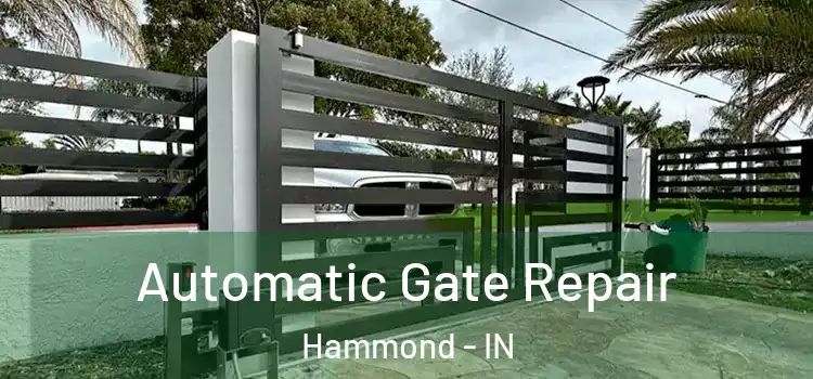Automatic Gate Repair Hammond - IN