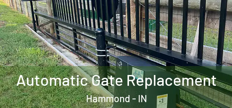 Automatic Gate Replacement Hammond - IN