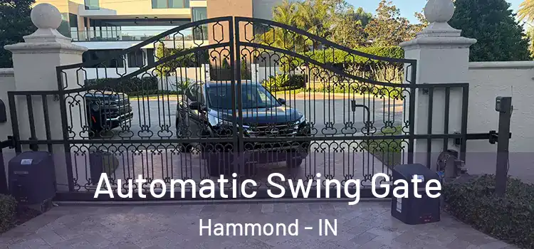  Automatic Swing Gate Hammond - IN
