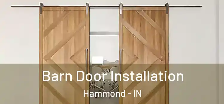 Barn Door Installation Hammond - IN