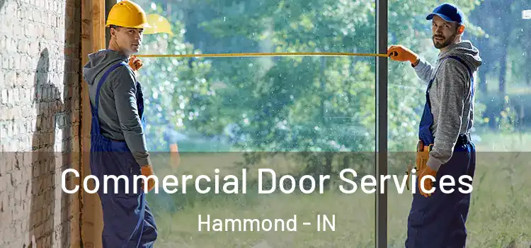  Commercial Door Services Hammond - IN