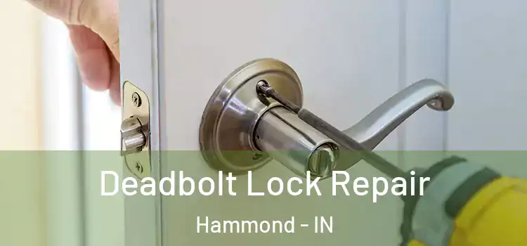  Deadbolt Lock Repair Hammond - IN