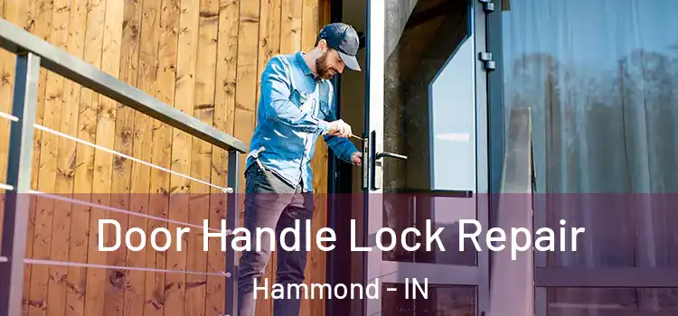 Door Handle Lock Repair Hammond - IN