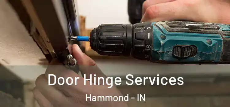 Door Hinge Services Hammond - IN