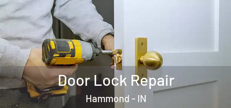  Door Lock Repair Hammond - IN