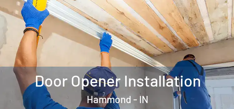  Door Opener Installation Hammond - IN
