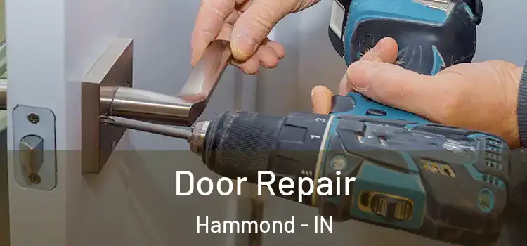  Door Repair Hammond - IN
