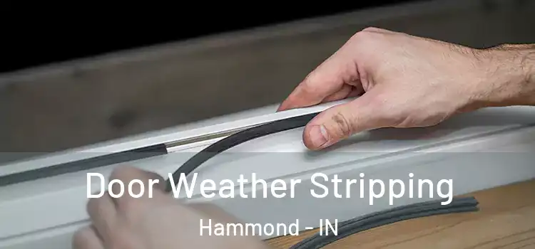  Door Weather Stripping Hammond - IN