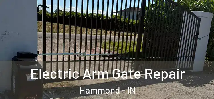 Electric Arm Gate Repair Hammond - IN