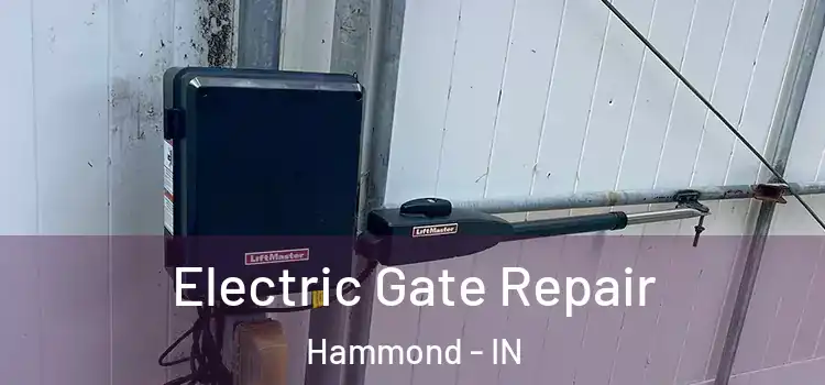  Electric Gate Repair Hammond - IN