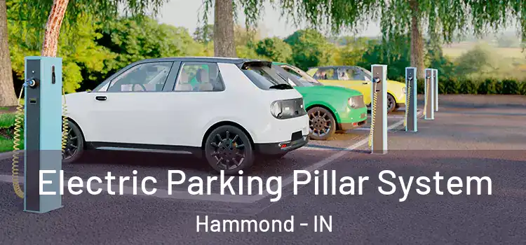  Electric Parking Pillar System Hammond - IN