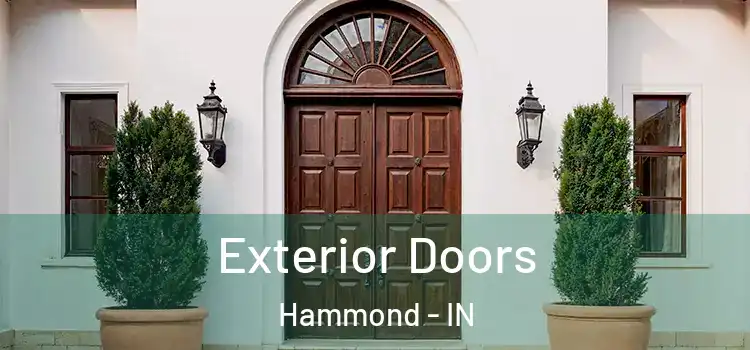 Exterior Doors Hammond - IN