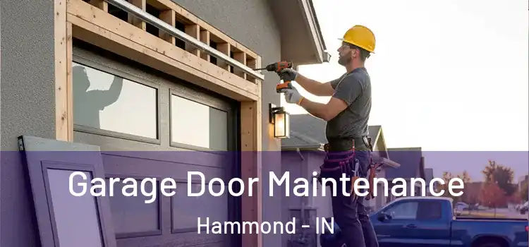  Garage Door Maintenance Hammond - IN