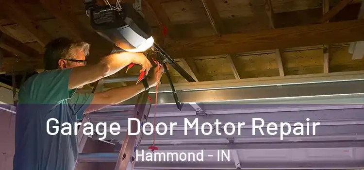  Garage Door Motor Repair Hammond - IN
