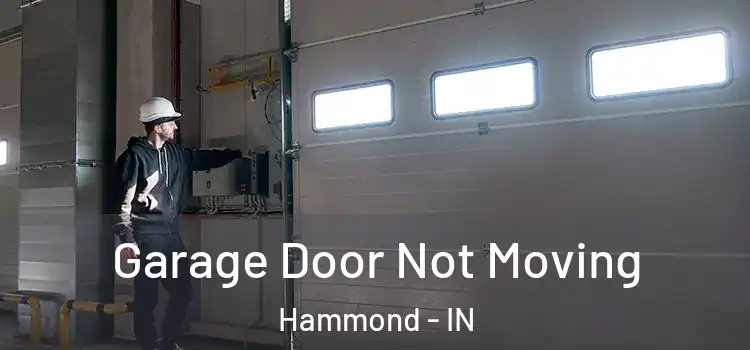  Garage Door Not Moving Hammond - IN