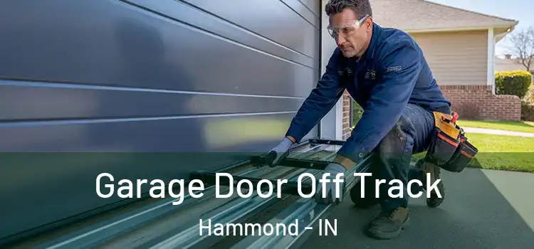  Garage Door Off Track Hammond - IN
