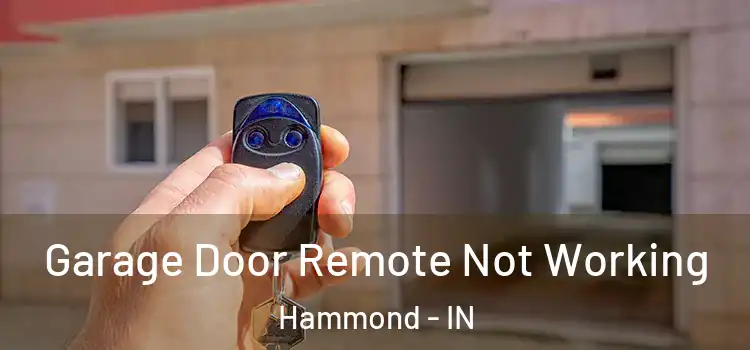  Garage Door Remote Not Working Hammond - IN
