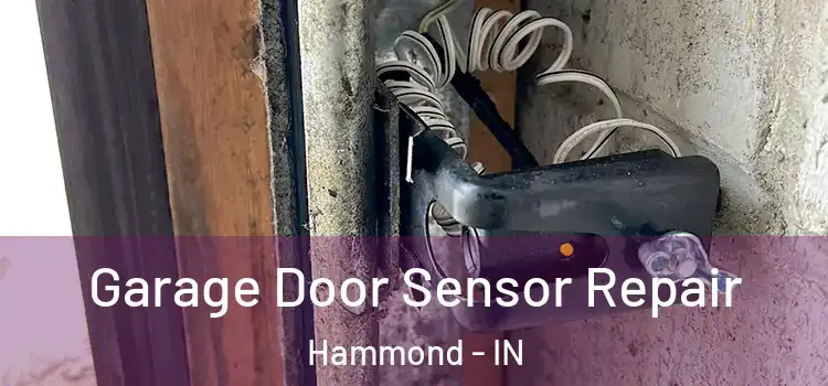  Garage Door Sensor Repair Hammond - IN