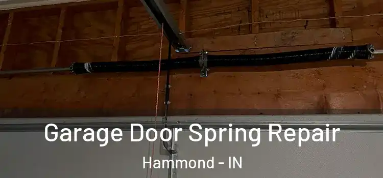  Garage Door Spring Repair Hammond - IN