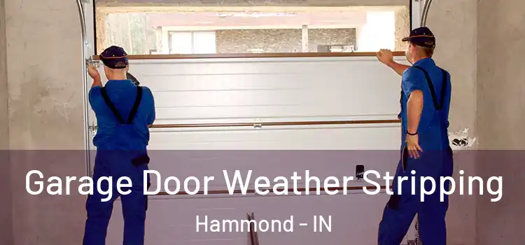  Garage Door Weather Stripping Hammond - IN