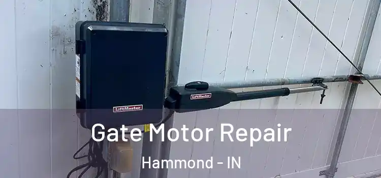  Gate Motor Repair Hammond - IN