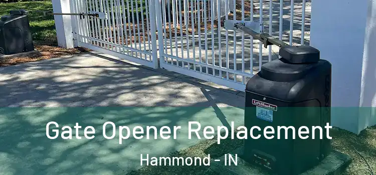 Gate Opener Replacement Hammond - IN