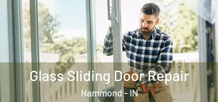 Glass Sliding Door Repair Hammond - IN