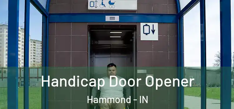  Handicap Door Opener Hammond - IN
