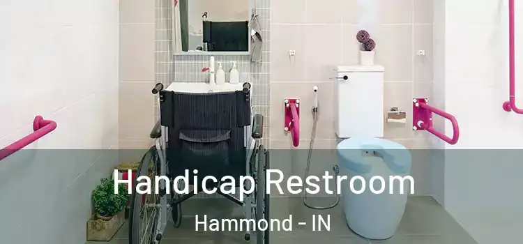 Handicap Restroom Hammond - IN