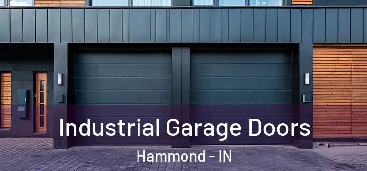  Industrial Garage Doors Hammond - IN