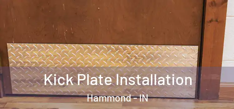  Kick Plate Installation Hammond - IN