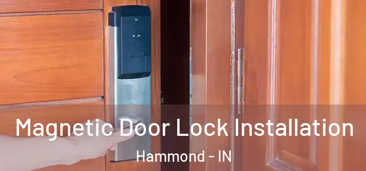  Magnetic Door Lock Installation Hammond - IN