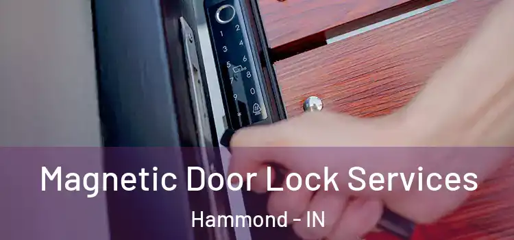  Magnetic Door Lock Services Hammond - IN