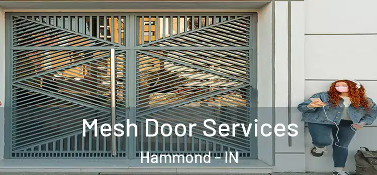 Mesh Door Services Hammond - IN