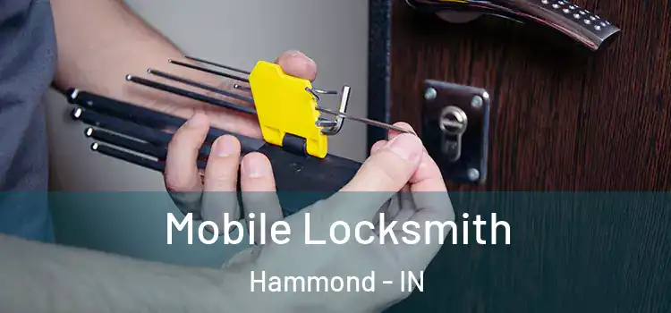  Mobile Locksmith Hammond - IN