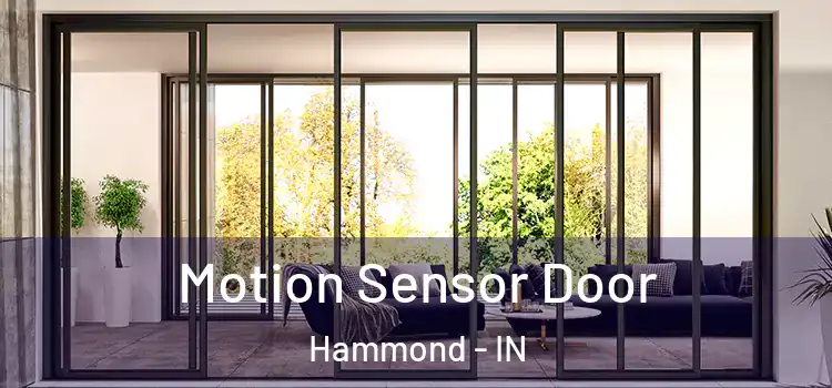 Motion Sensor Door Hammond - IN