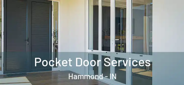 Pocket Door Services Hammond - IN