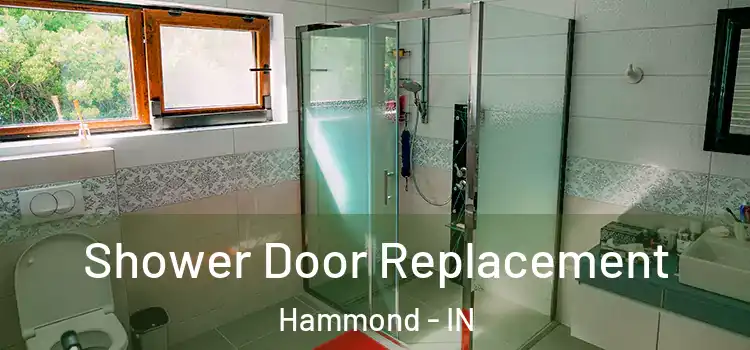 Shower Door Replacement Hammond - IN