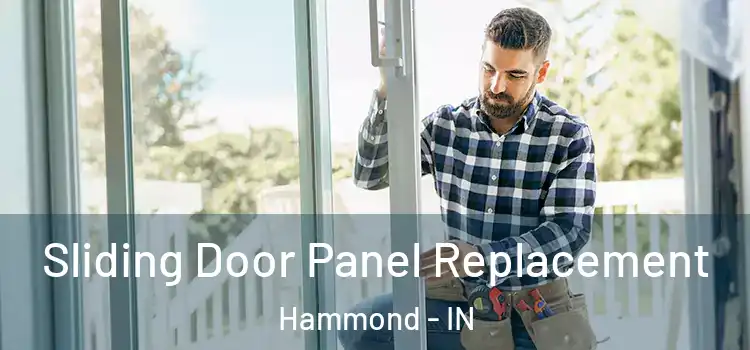  Sliding Door Panel Replacement Hammond - IN