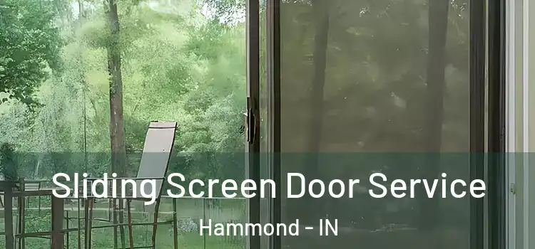  Sliding Screen Door Service Hammond - IN