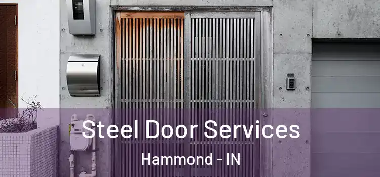  Steel Door Services Hammond - IN