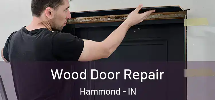 Wood Door Repair Hammond - IN